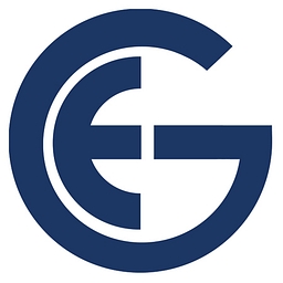 Elvictor Group Inc