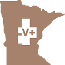 Logo de Empresa V Region