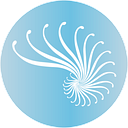 Logo de Enelya Medicina Estetica