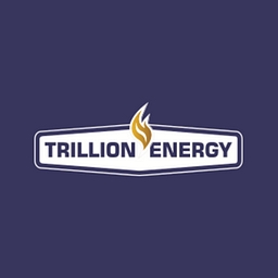 Energy Management International Inc