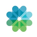 F. INITIATIVES LIMITED logo