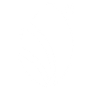 Logo de FIFCO