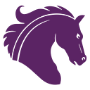 Logo de FORTIS GROUP dba silhouette security