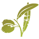 Logo de FUND TIERRA DE ESPERANZA