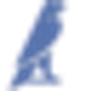 Falcon House Care Limited logo
