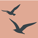 Fiddlers Creek Management Co