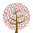Foster & Adoptive Care Coalition