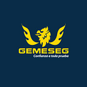 Logo de Gemeseg Cia Ltda