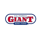 Logo de Giant Berry