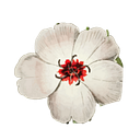 Gilbertsville Farmhouse Inc.