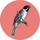 Giwa Osagie & Co logo