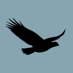 HAWK INFINITY 281003 FRN