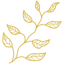 Logo de Harissa Drogueria
