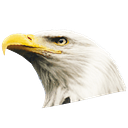 Logo de Healthy America Colombia S.