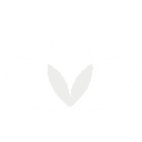 Logo de Hiedra y Bambu