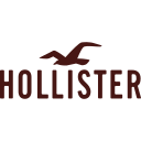 Logo de Hollister