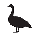 Logo de INDIAN COOKED FOOD CATERING SERVICE PTE. LTD.