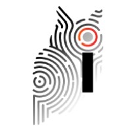 Imageware Sys Inc