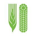 International Maize and Wheat Improvement Center (CIMMYT) logo