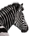 Investec logo