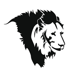 Invictus Energy Limited