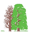 Johnson James Care Limited logo