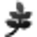 Logo de KENSINGTON TRUST SINGAPORE LIMITED