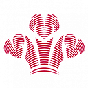 Logo de King'S Casino