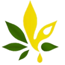 Laser Energetics Inc