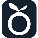 Logo de Lemmon Internet