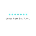 Little Fish Acquisition I Aktie