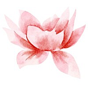 Logo de Lotus HR & Recruitment