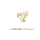 Lumax Auto Technologies Osake