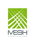 MESH Consulting, LLC