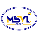 Logo de MSVL Group