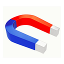 Logo de Magnex