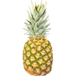 Maui Land & Pineapple Company Inc