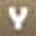 Logo de Mayama A.C.