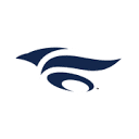 Mizuno logo