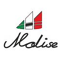 Logo de Molise Construcciones