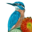 Logo de N.V. Goudkust