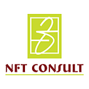 NFT Consult logo