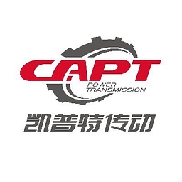 NSPT