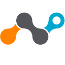 Logo de Netskope
