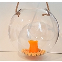 Oberstdorfer Bergbahn AG Aktie