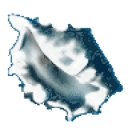 Ocean Shore One Ltd logo