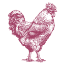 Logo de PCC Community Markets