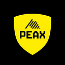 PEAX AG logo