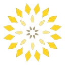 PICAS SERVICES LIMITED logo