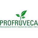 Logo de PROCESADORA DE FRUTA TINGUIRIRICA